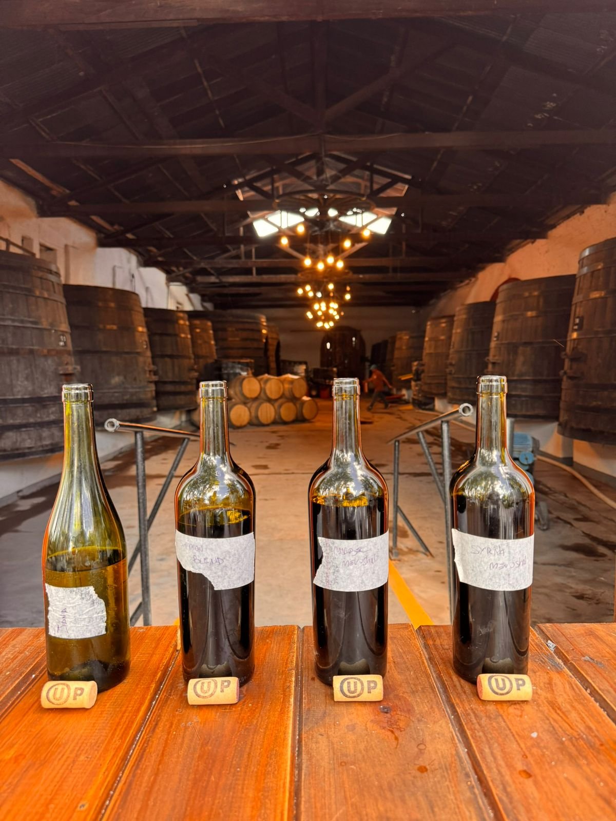 Bodega kosher - Imagen 2