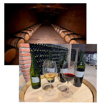 El Rosal Bodega - Nosotros